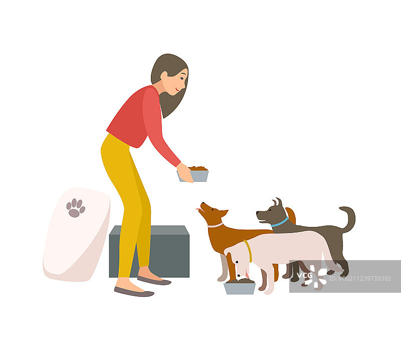 友善的女性志愿者在动物收容所喂狗图片素材