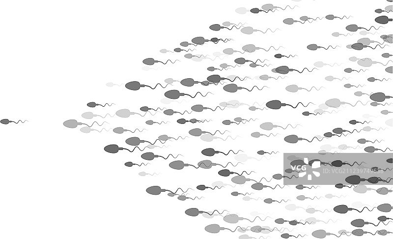 精子向前图片素材