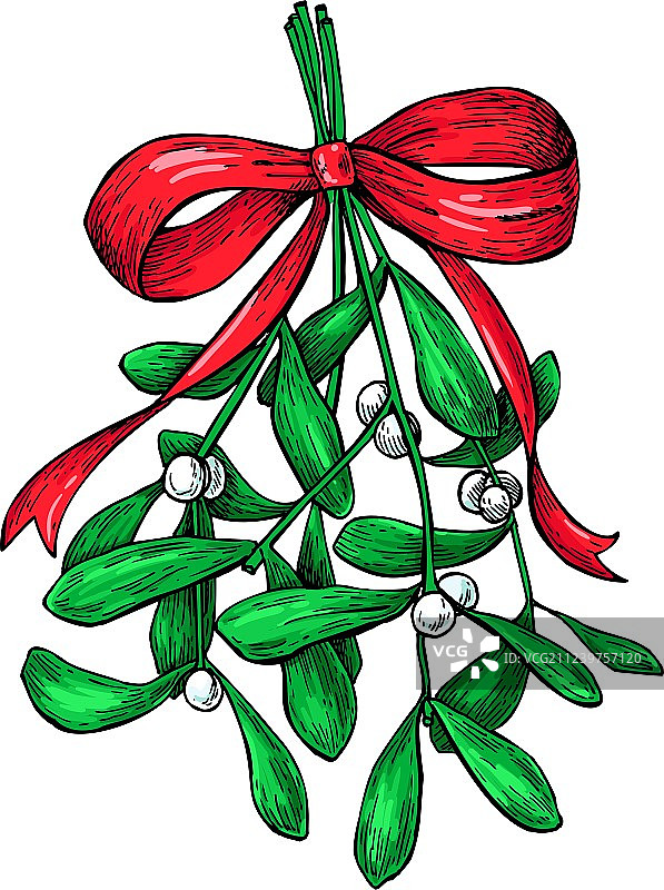 带红色蝴蝶结的槲寄生圣诞装饰植物图片素材