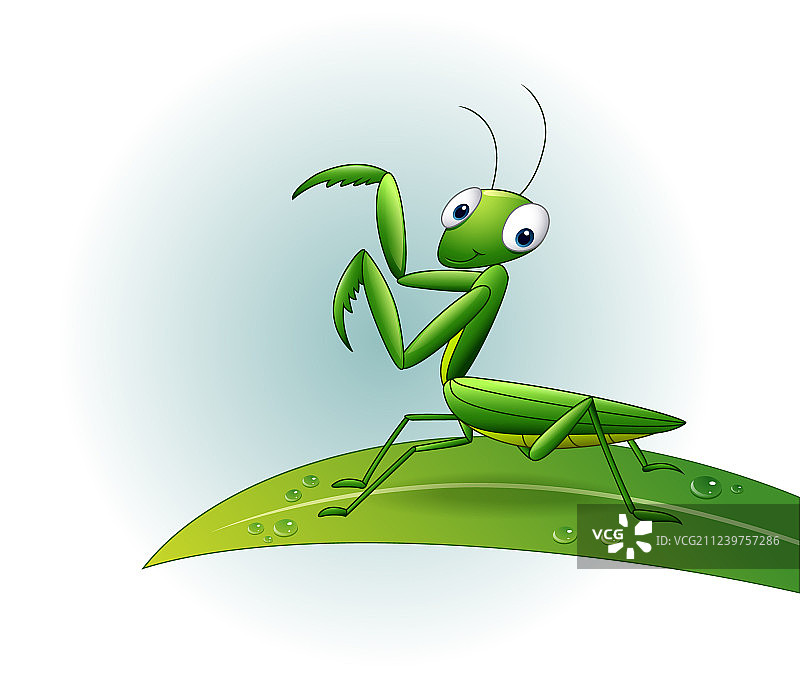 树叶上的卡通螳螂图片素材