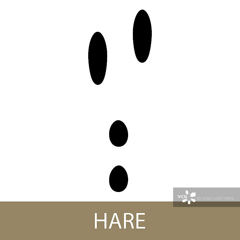 野兔动物足迹图片素材