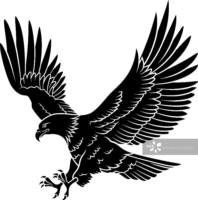 老鹰剪影005图片素材