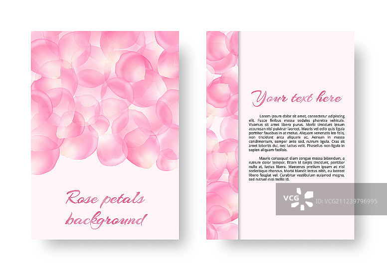 粉色玫瑰花瓣图案图片素材