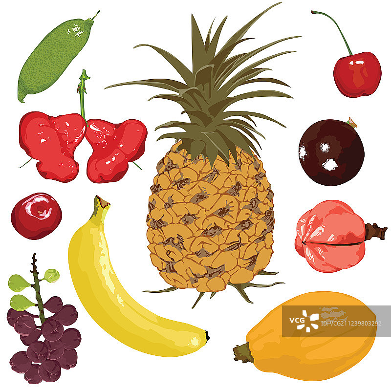 白色背景上的水果拼盘图片素材