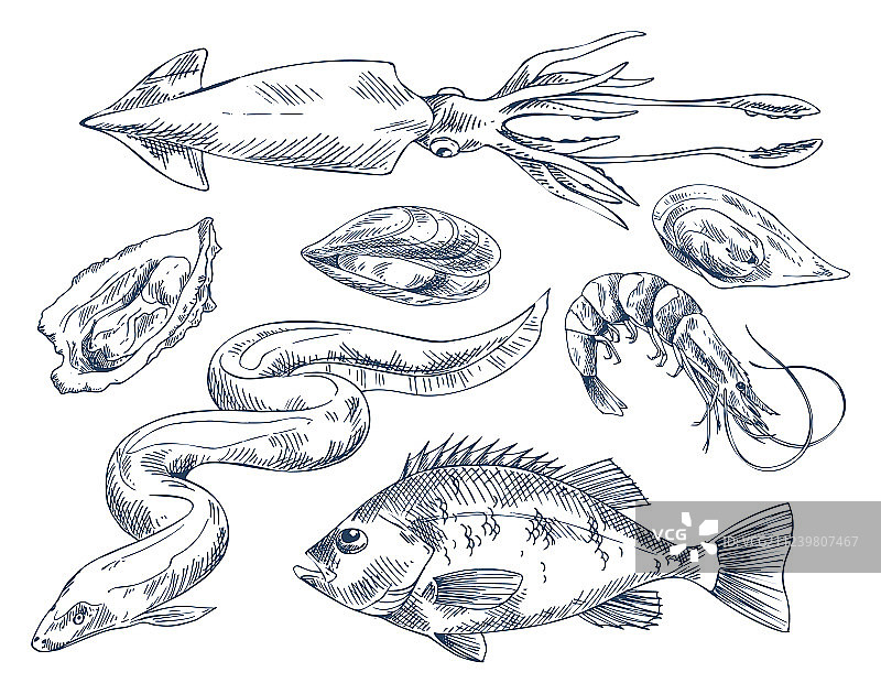 海鲜单色海报图片素材