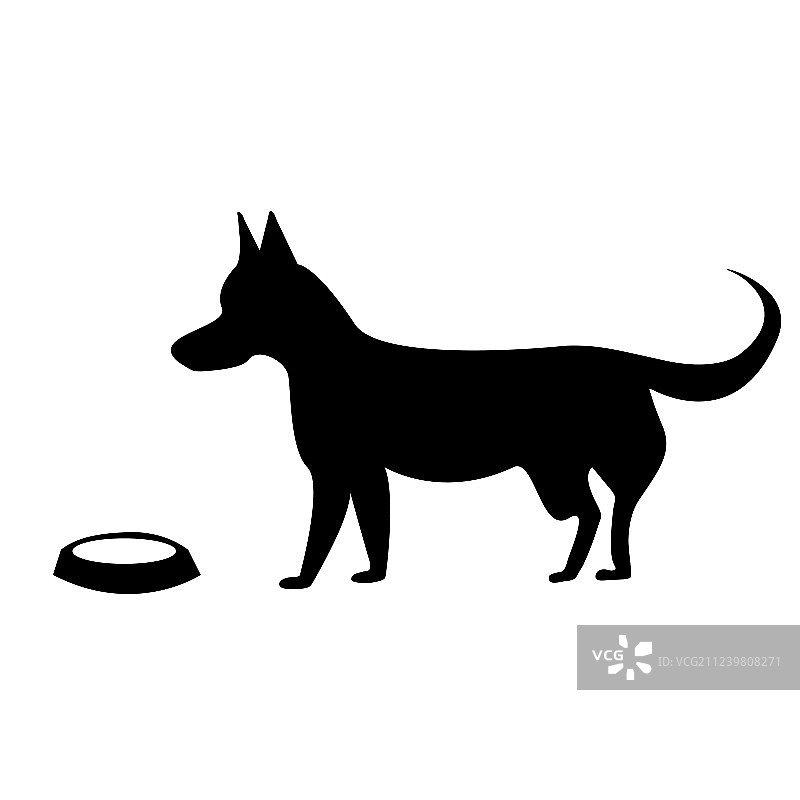 对着空碗的饥饿的狗图片素材