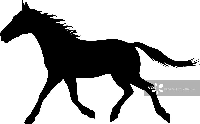 奔跑的马的轮廓图片素材