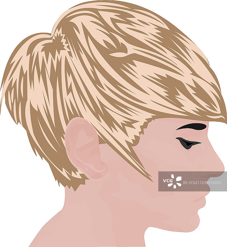 波波头图片素材