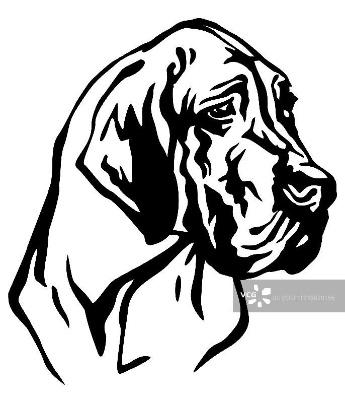 大丹犬装饰肖像图片素材