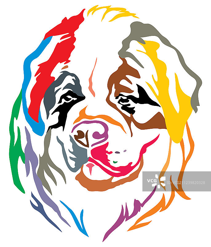 圣伯纳犬的彩色装饰肖像图片素材
