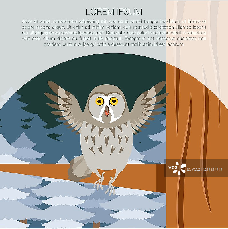 冬季树上灰色猫头鹰扁平背景图片素材