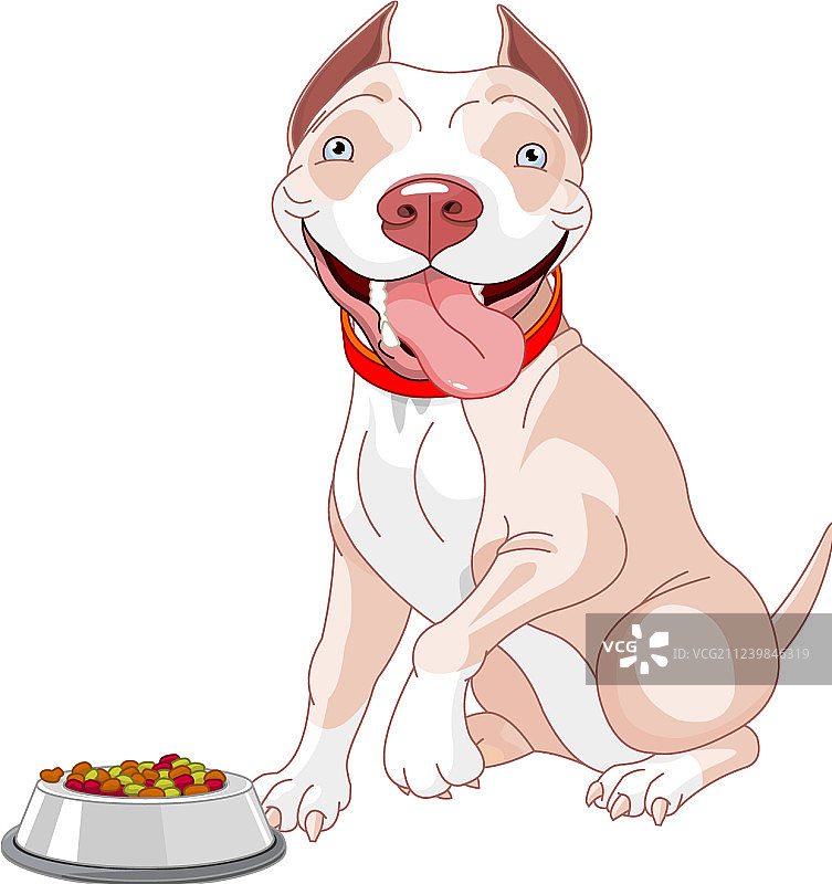 饥饿的斗牛犬图片素材