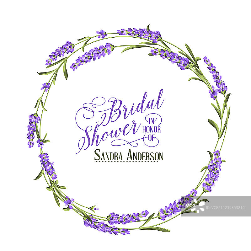 薰衣草优雅卡片图片素材