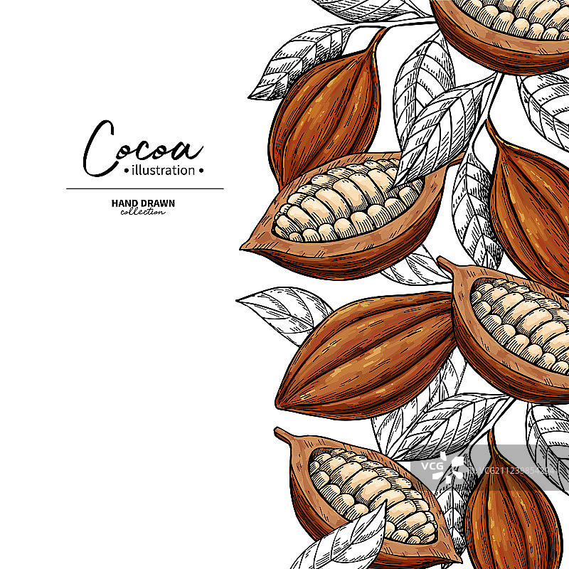 可可边框超级食品绘画模板图片素材