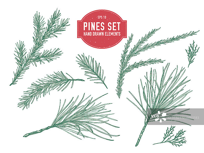 手绘粉彩松枝合集图片素材