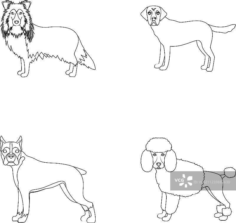 小猎兔犬和其他web图标轮廓图片素材