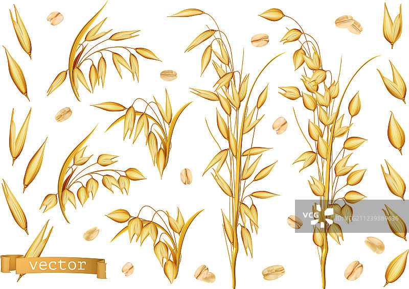 燕麦植物与燕麦片3D图标图片素材