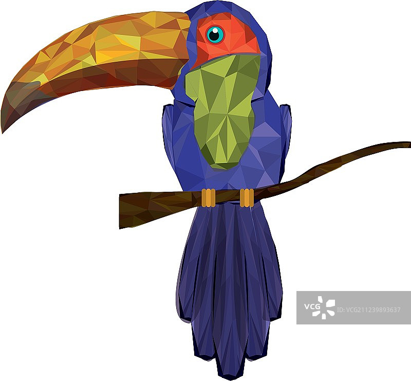 抽象设计的巨嘴鸟图片素材