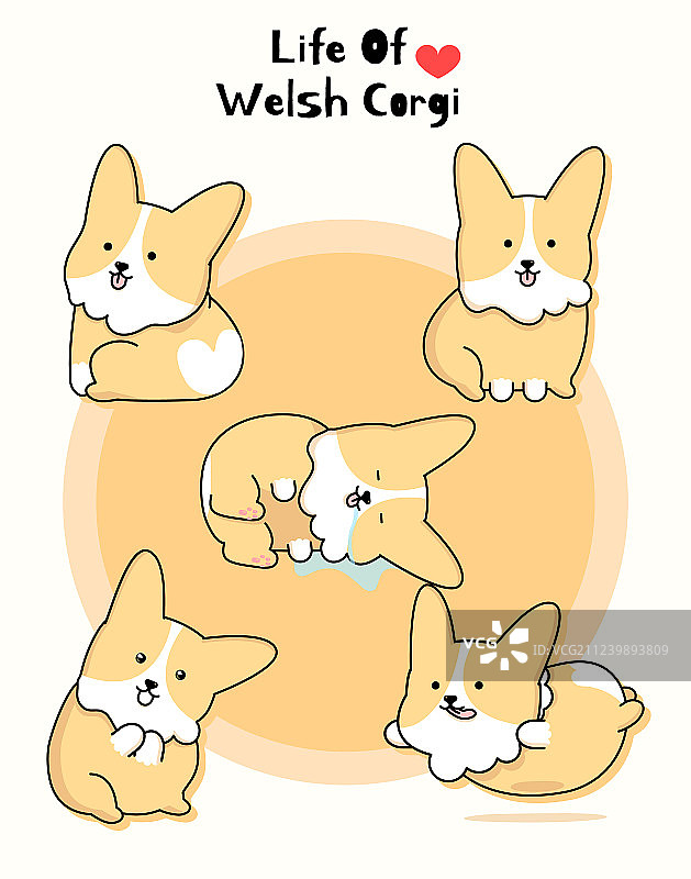 可爱的威尔士柯基犬套装图片素材