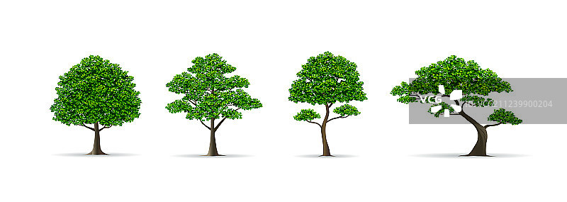 逼真树木合集图片素材