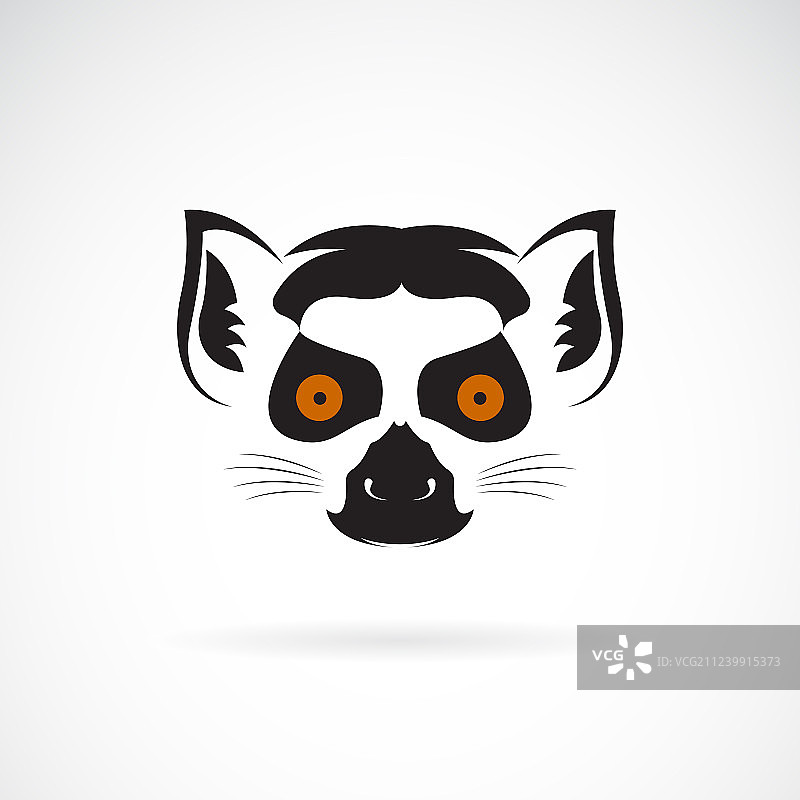 白色背景下的环尾狐猴头部设计图片素材