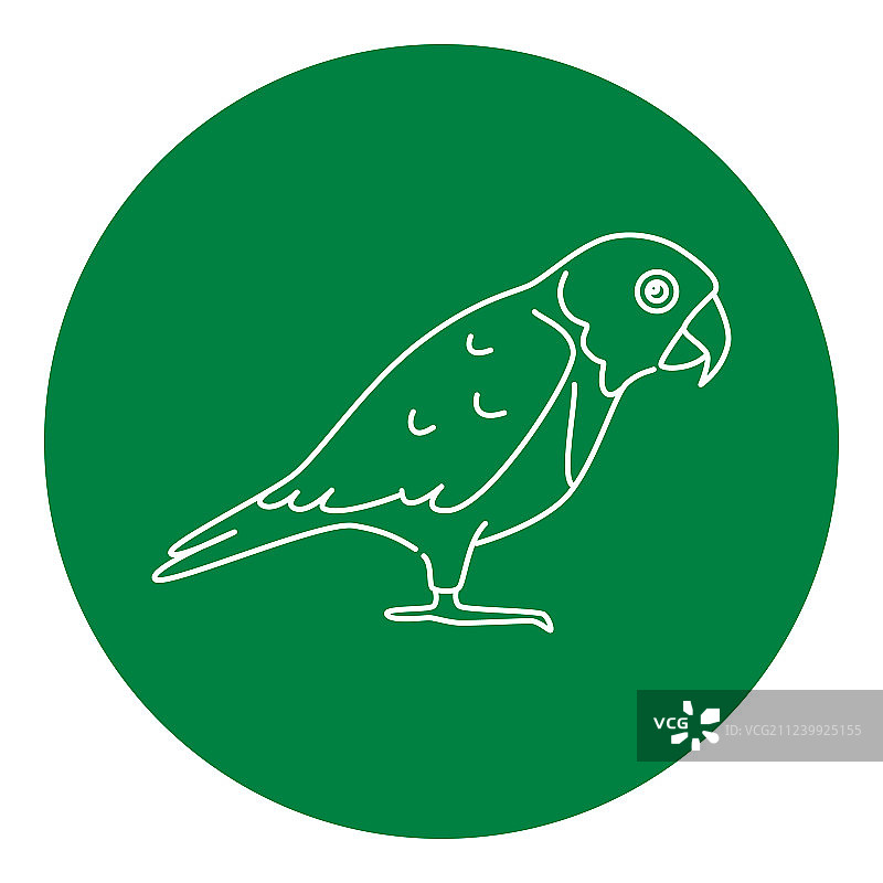 塞内加尔鹦鹉细线风格图标图片素材