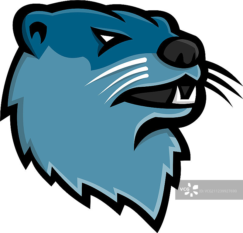 水獭头部吉祥物图片素材