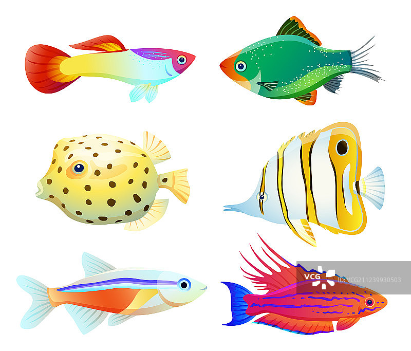 白色背景水族箱鱼类剪影图标图片素材