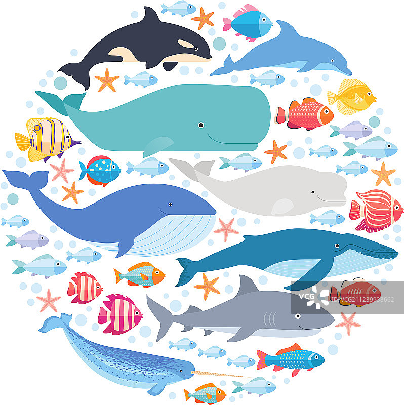 圆形海洋哺乳动物和鱼类集合：独角鲸图片素材
