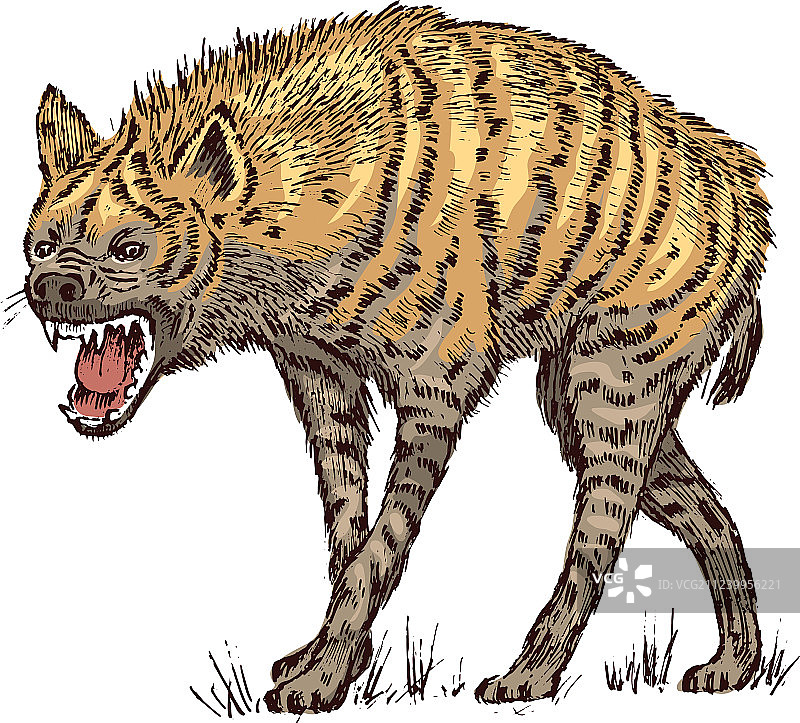 非洲斑鬣狗野生动物雕刻手绘图片素材