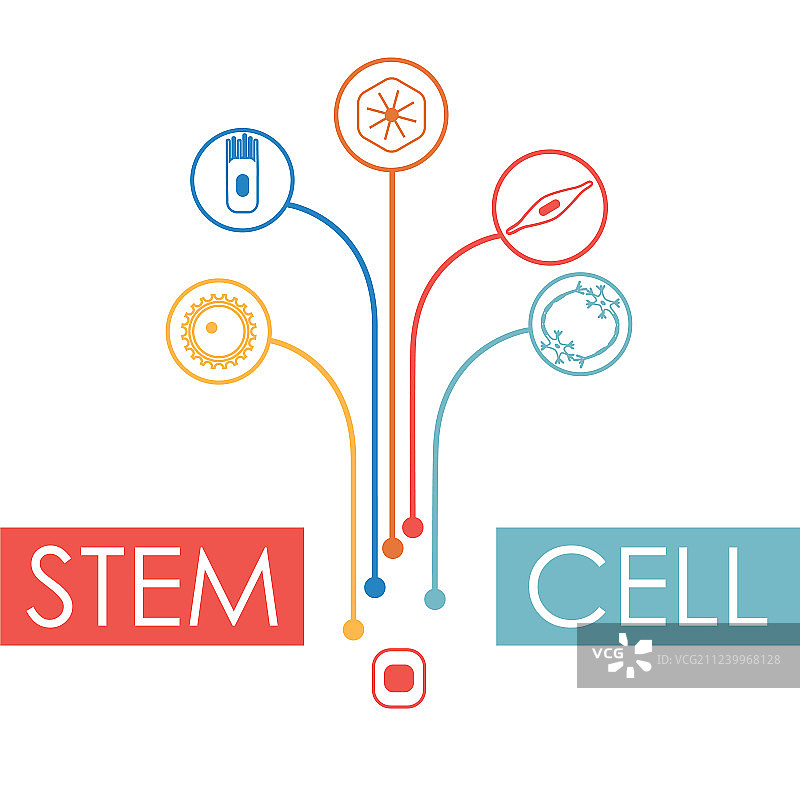 人类细胞类型合集图片素材