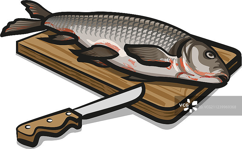 淡水生鱼图片素材