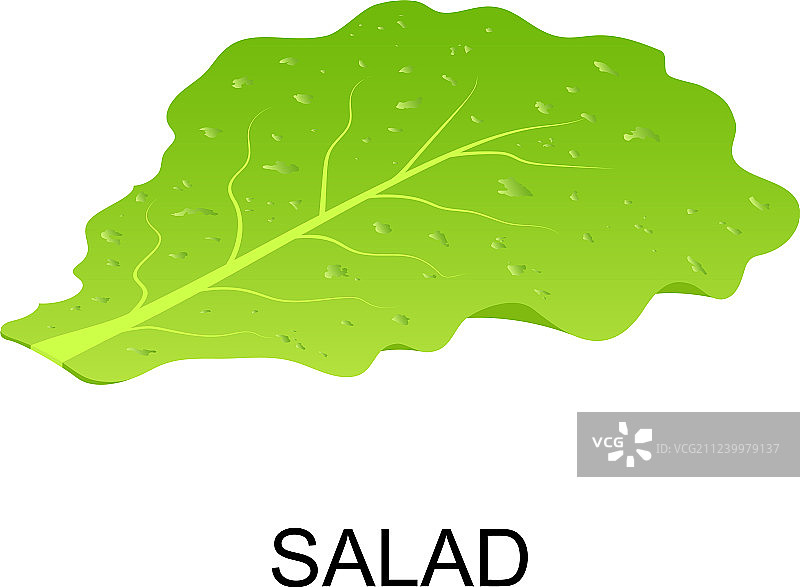 等轴测风格沙拉图标图片素材