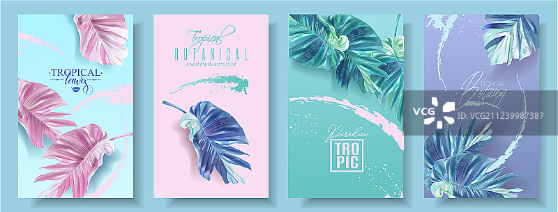 海芋热带叶banner套装图片素材