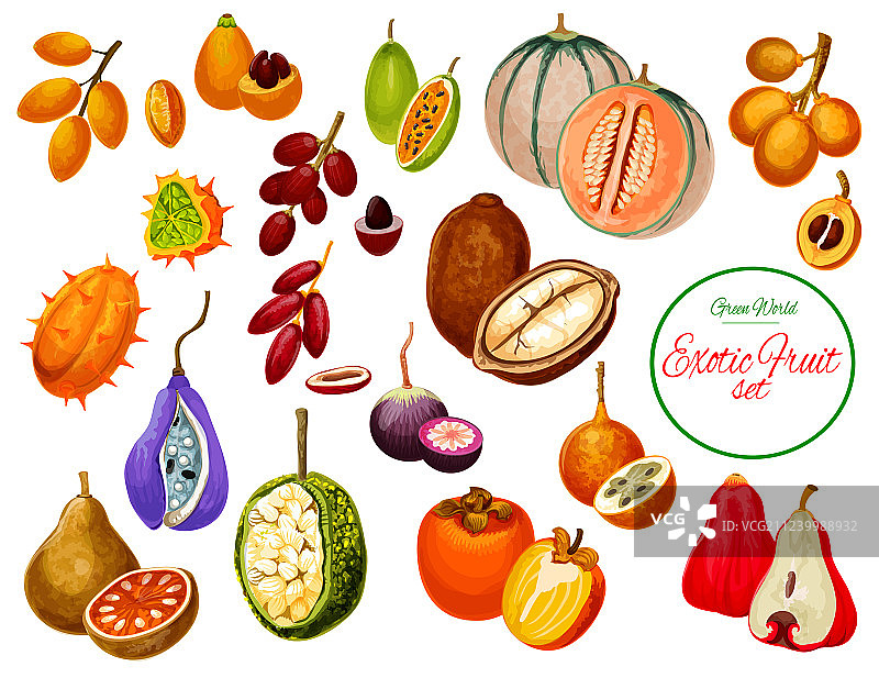 异域热带水果和浆果图标图片素材