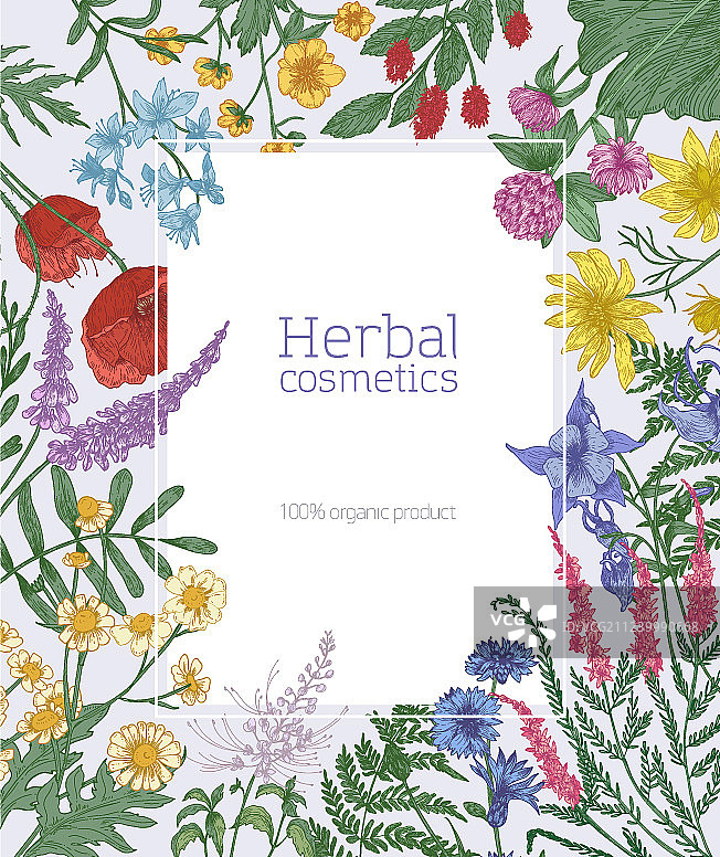 盛开野花装饰的矩形框架图片素材