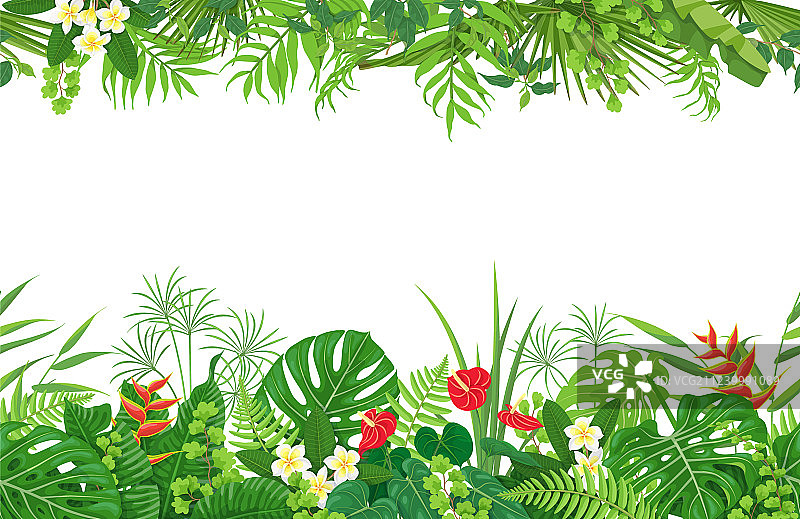 热带植物无缝边框图片素材