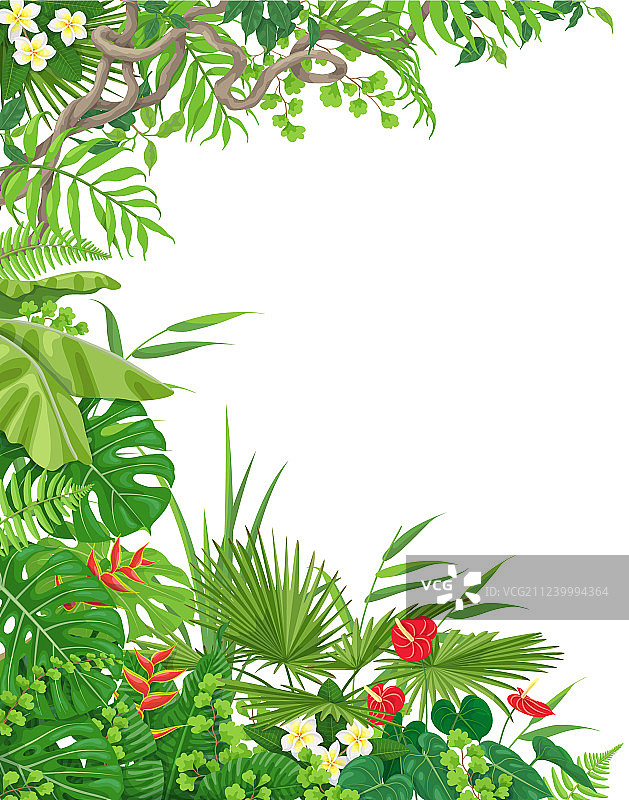 热带植物侧边框图片素材