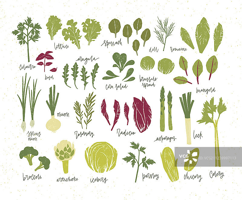 绿色植物束合集图片素材