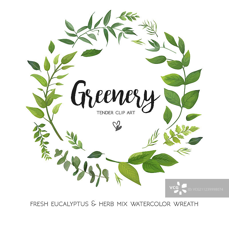 绿色桉树蕨类植物花卉卡片设计图片素材