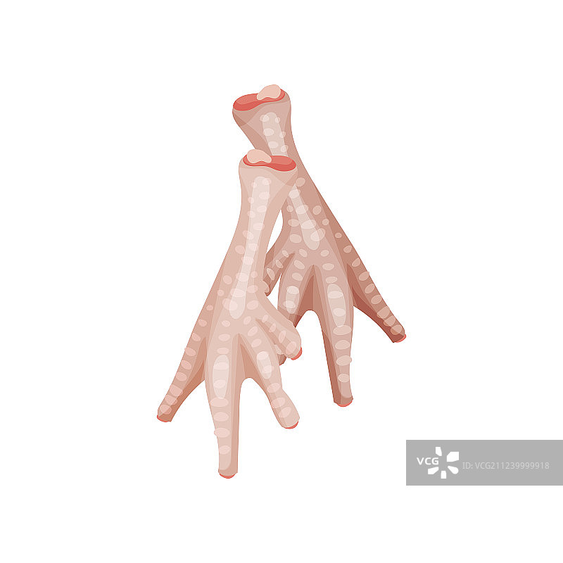 鸡胴体的生鸡爪部分图片素材