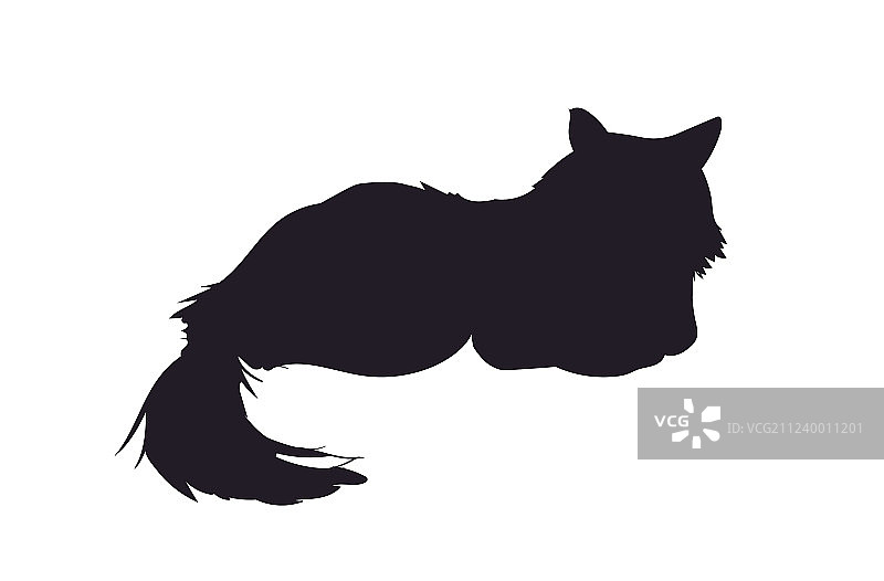 猫的轮廓图片素材