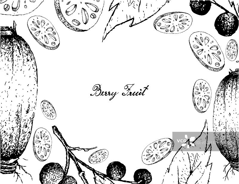 手绘莲藕和番龙眼果实边框图片素材