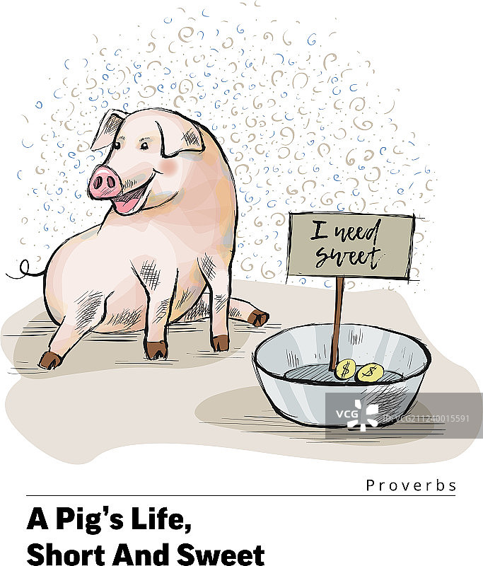 带小猪谚语的一系列明信片图片素材