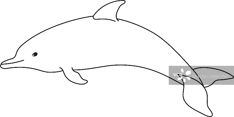 线条风格海豚图片素材
