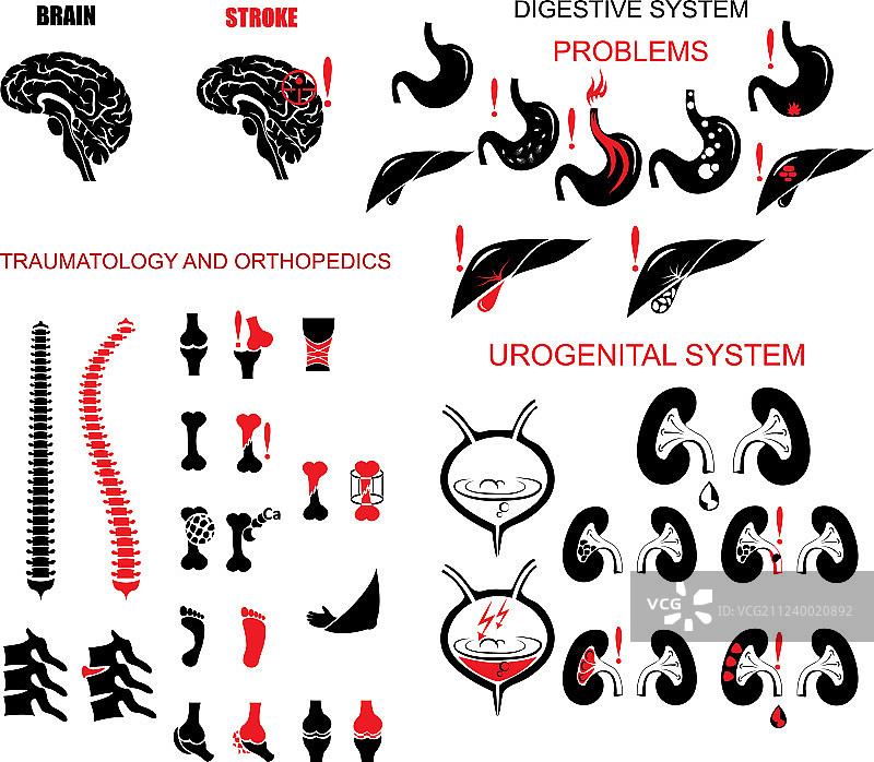解剖学图标集图片素材