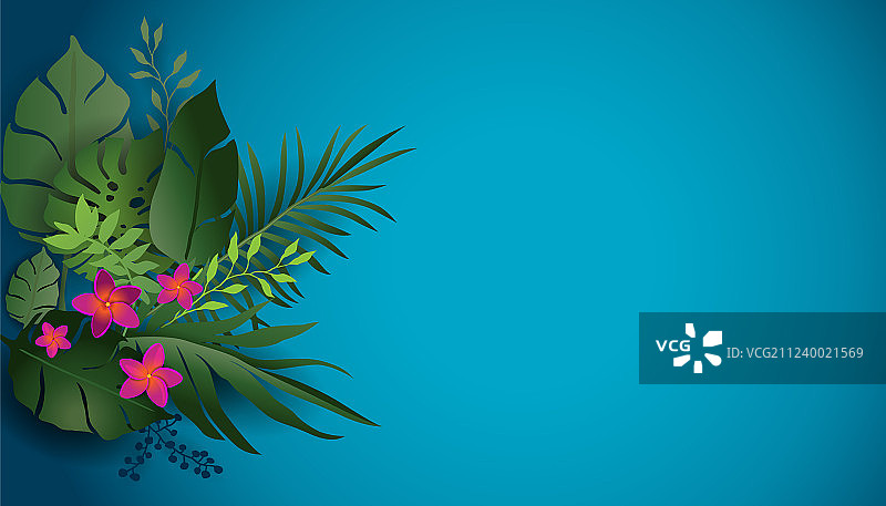 蓝色热带自然风光图片素材