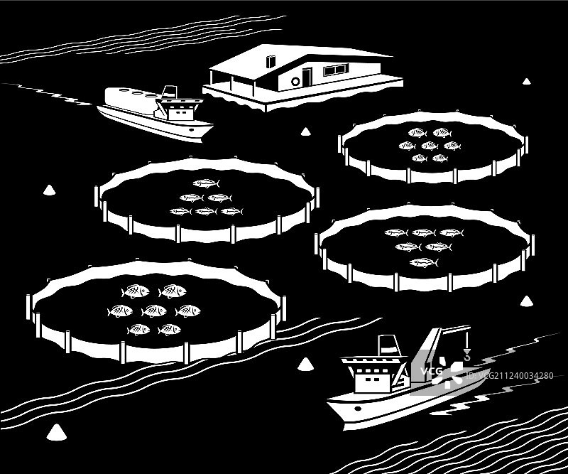 海上鱼类养殖场图片素材