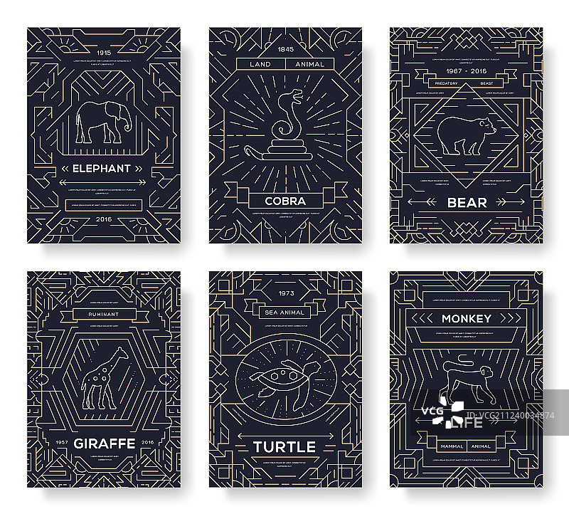 动物细线宣传册卡片套装图片素材