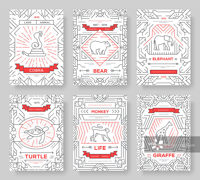 动物细线宣传册卡片套装图片素材